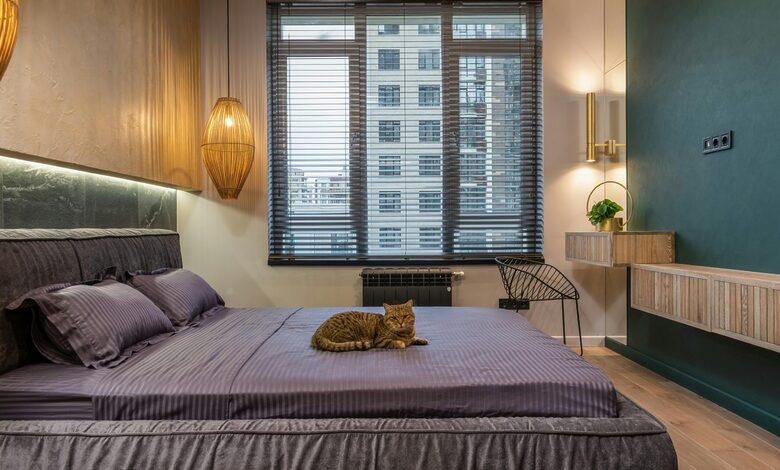 Luxury Pet Hotels