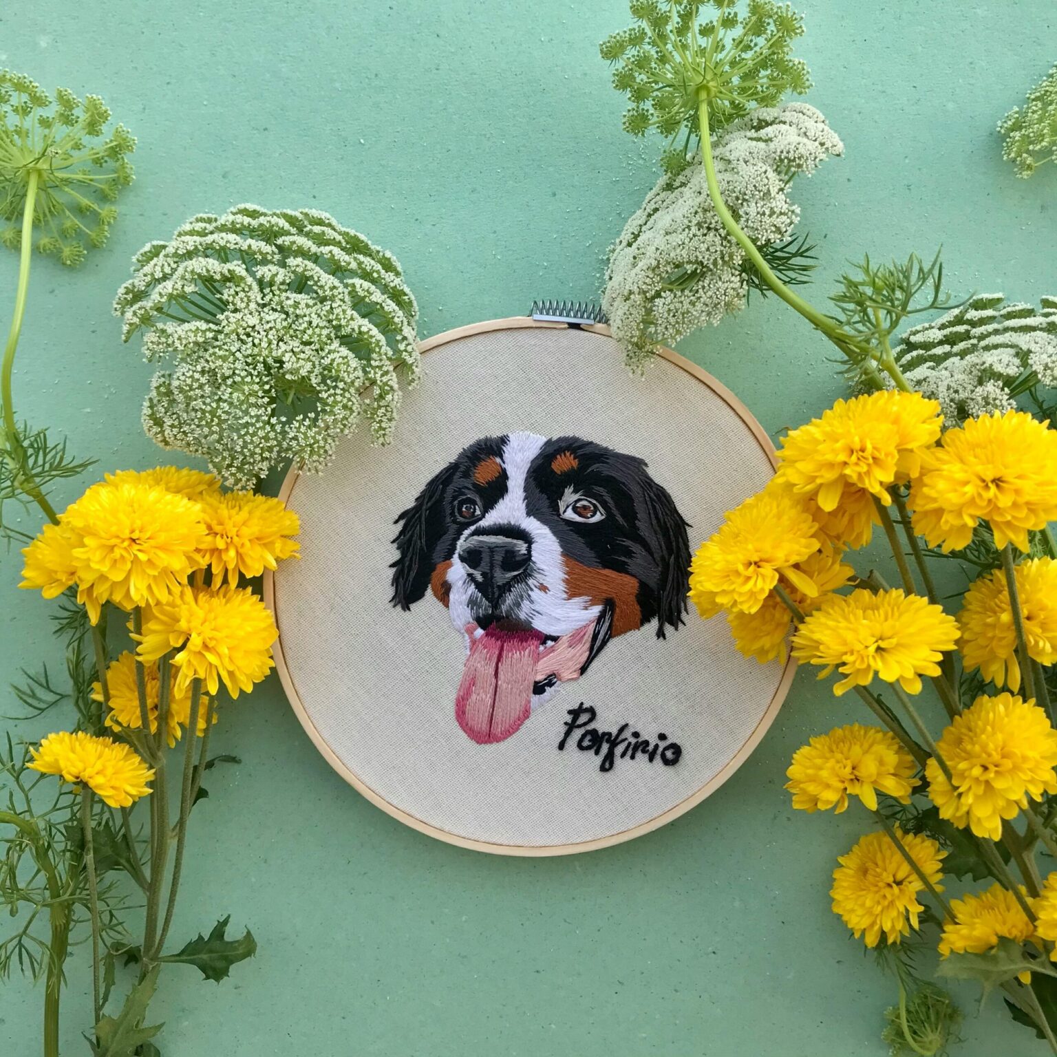 Pet Portraits