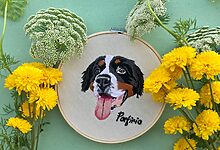 Pet Portraits