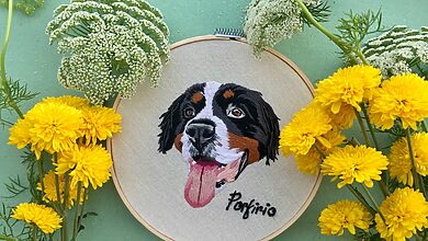 Pet Portraits