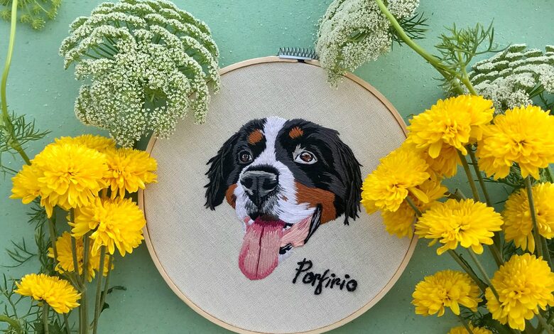Pet Portraits