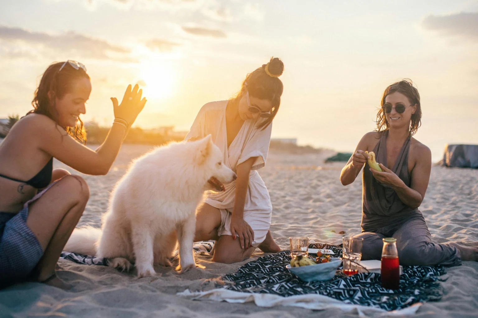 The Complete Pet Travel Diet Guide 2026: Safe Feeding Strategies for Happy, Healthy Traveling Pets pet travel diet