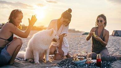 pet travel diet