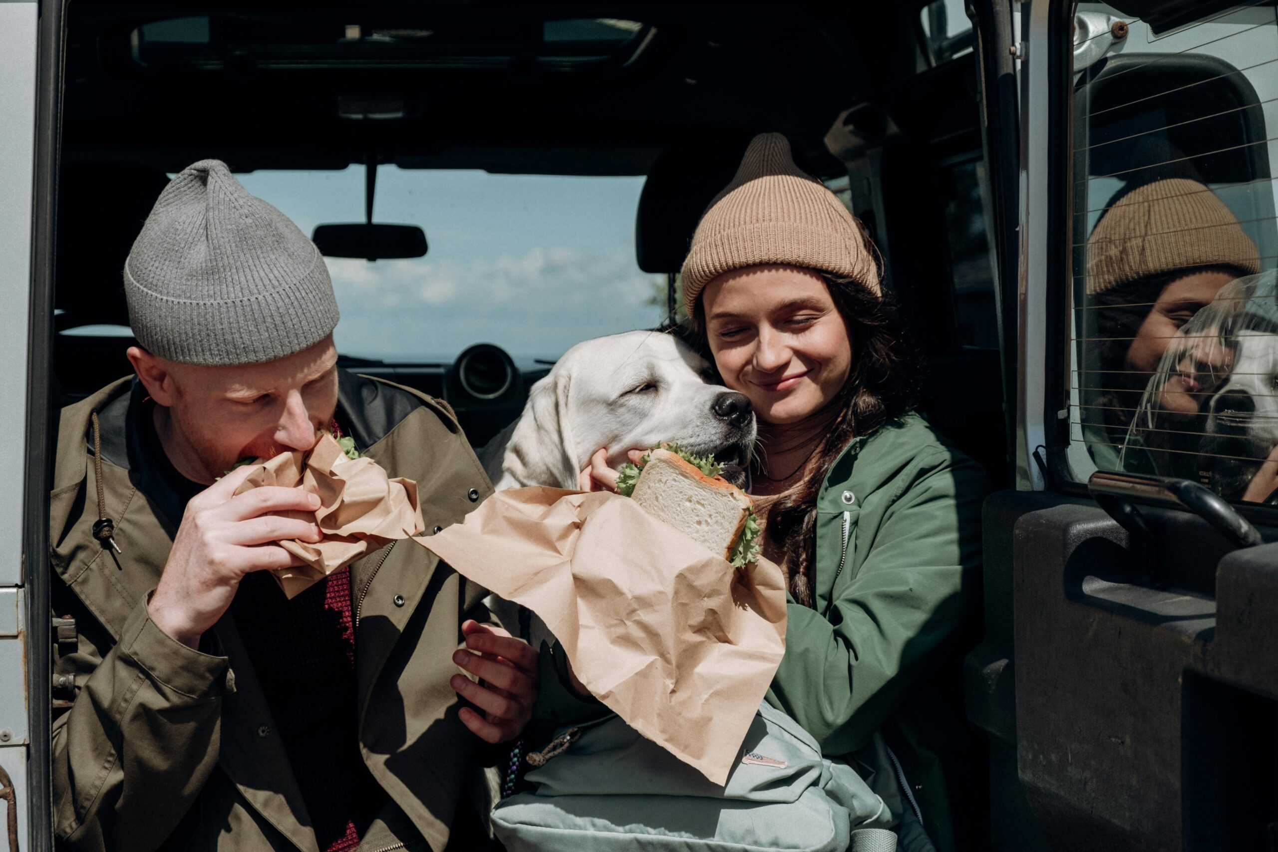 pet travel diet