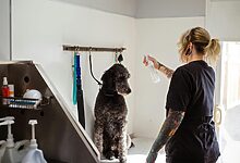 Grooming Station