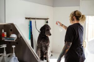Grooming Station