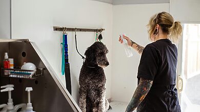 Grooming Station
