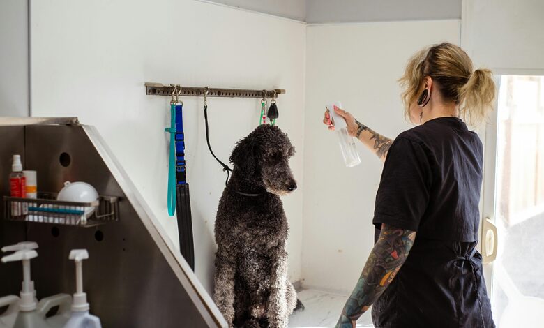 Grooming Station