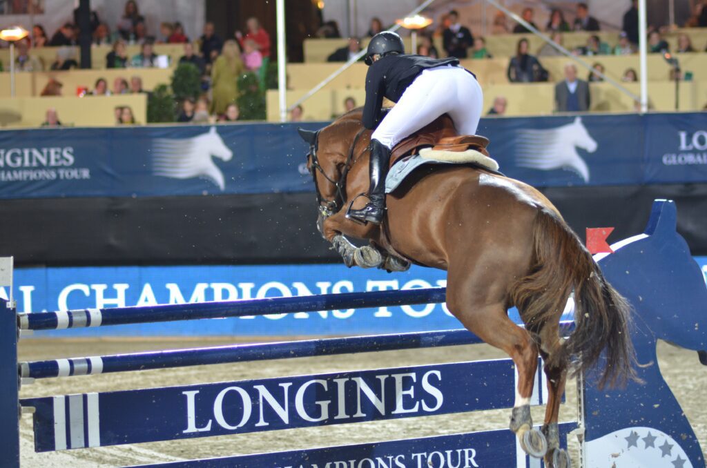 Show Jumping Gymnastics Exercises for Horses (Stop Rushing!)