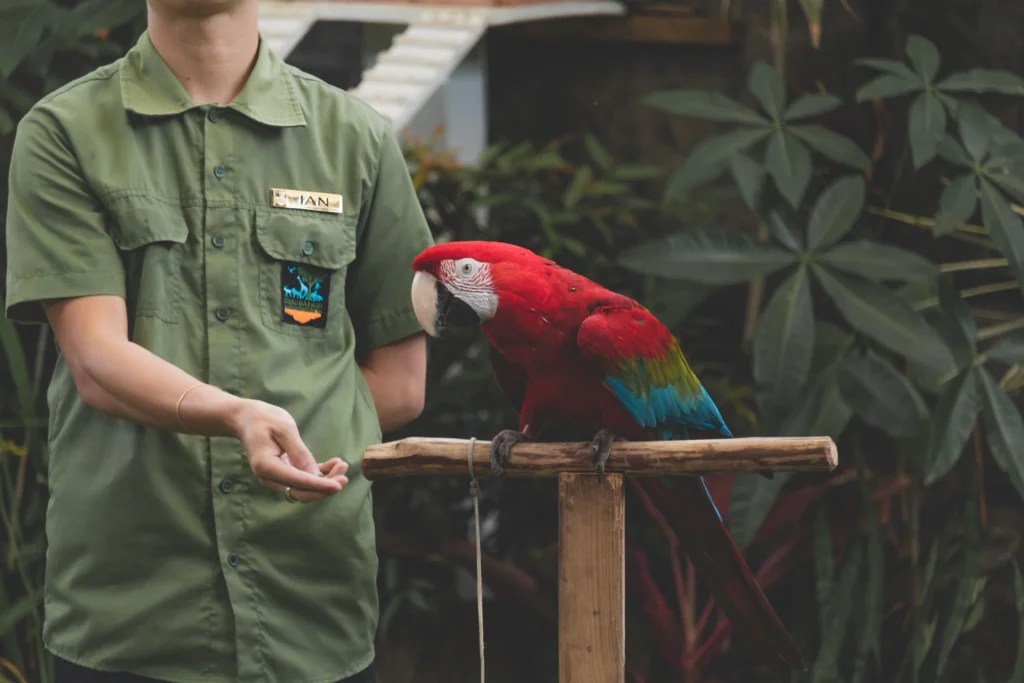 How to Teach a Bird Tricks With a Clicker: Step-by-Step 2026 Guide