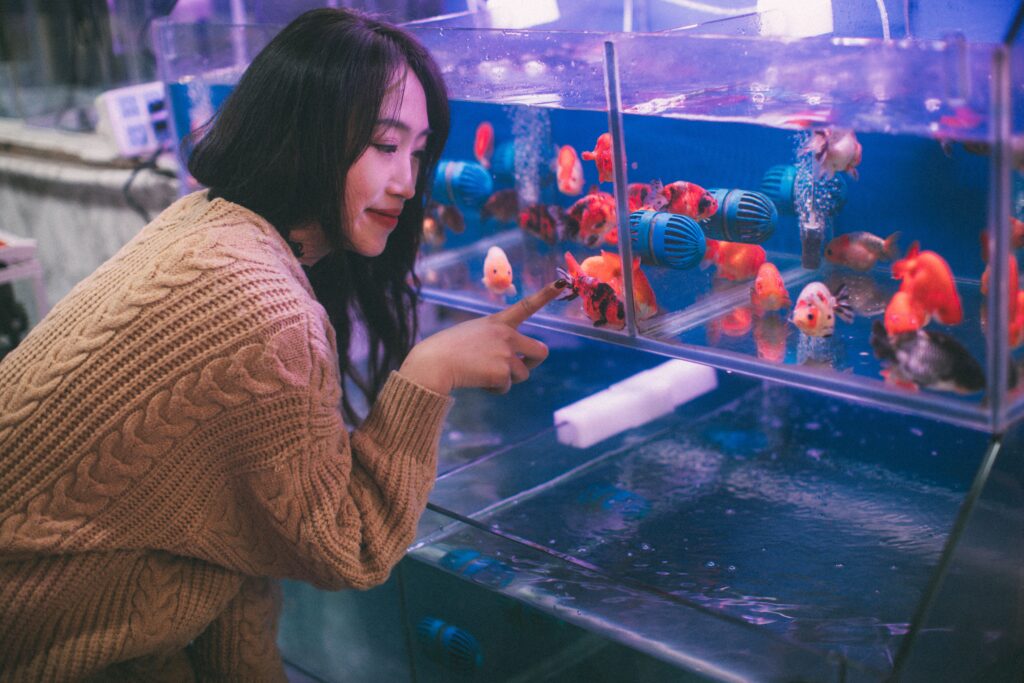 The Best Pet Fish for Your Lifestyle
