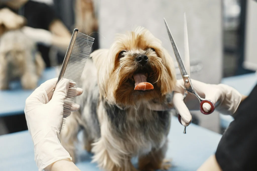 Professional Dog Grooming vs. DIY: Which is Best for Your Dog?