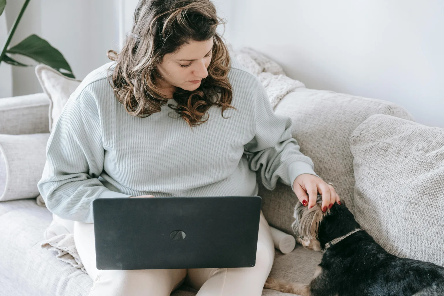 Smart Dog Tech Gadgets: The Complete 2026 Buyer’s Guide Smart Dog Tech Gadgets: The Complete 2026 Buyer's Guide